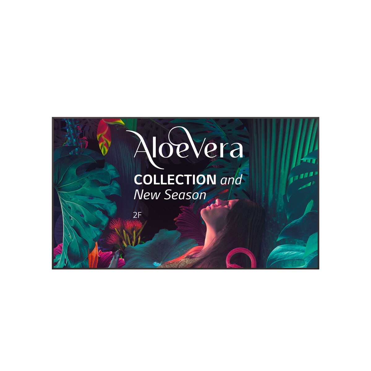 S55298450_0 S55298450_0