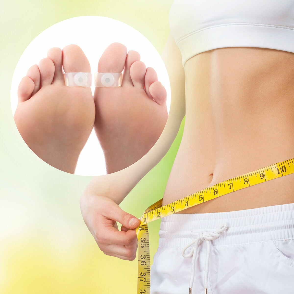 V0100529_0 V0100529_0