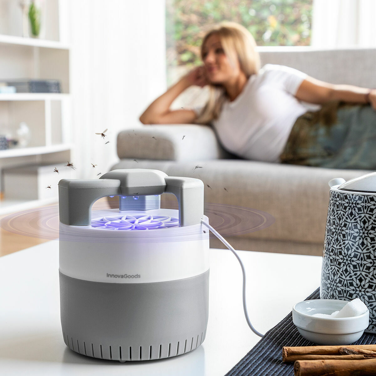 V0103865_0 V0103865_0