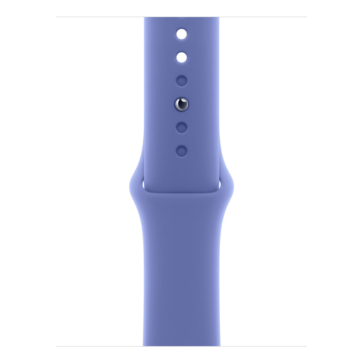 S77216802_0 S77216802_0