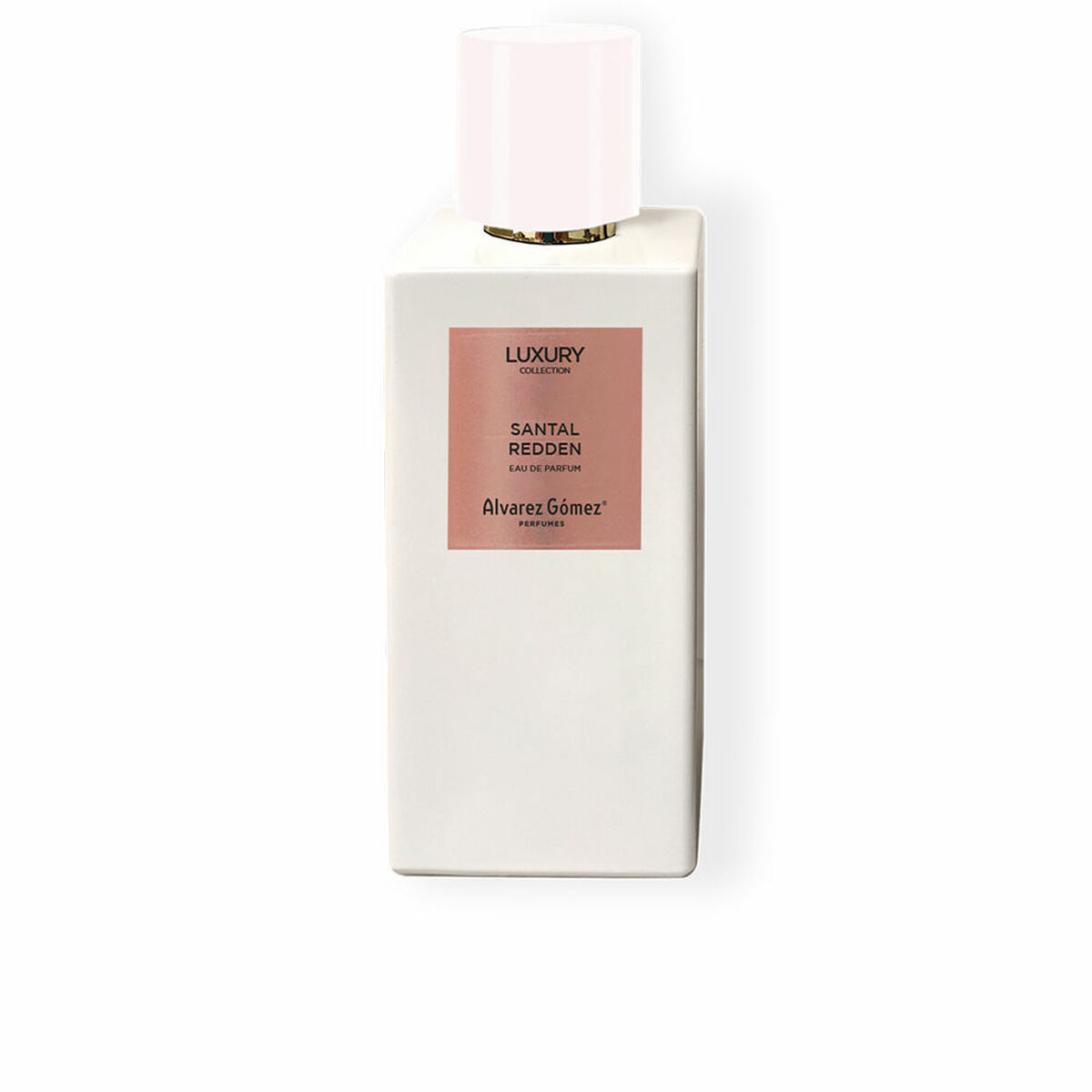 S05145419_0 S05145419_0