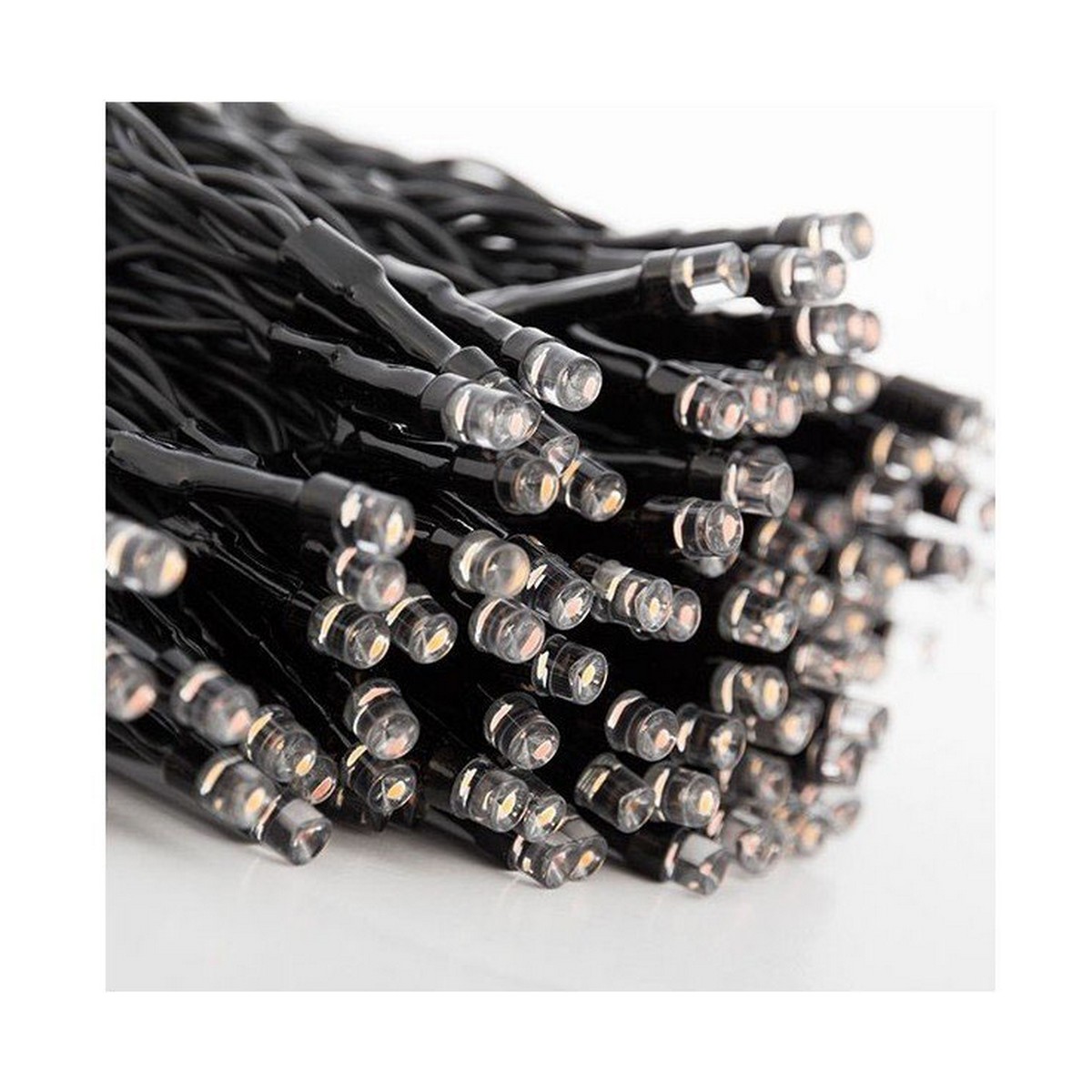 S7903815_0 S7903815_0