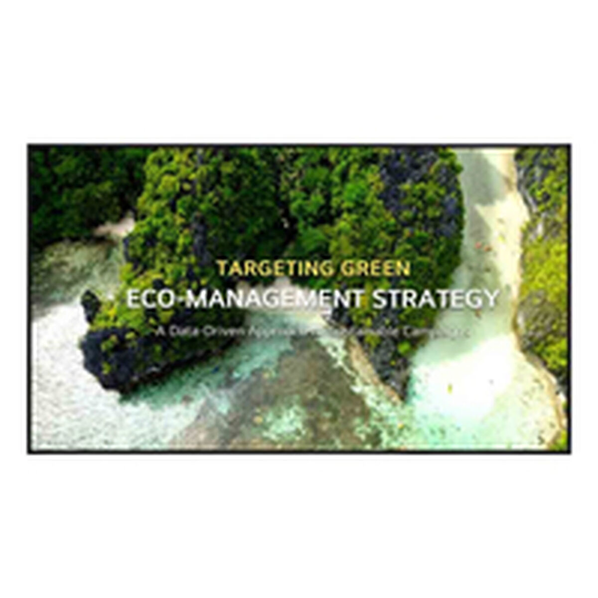 S77226658_0 S77226658_0