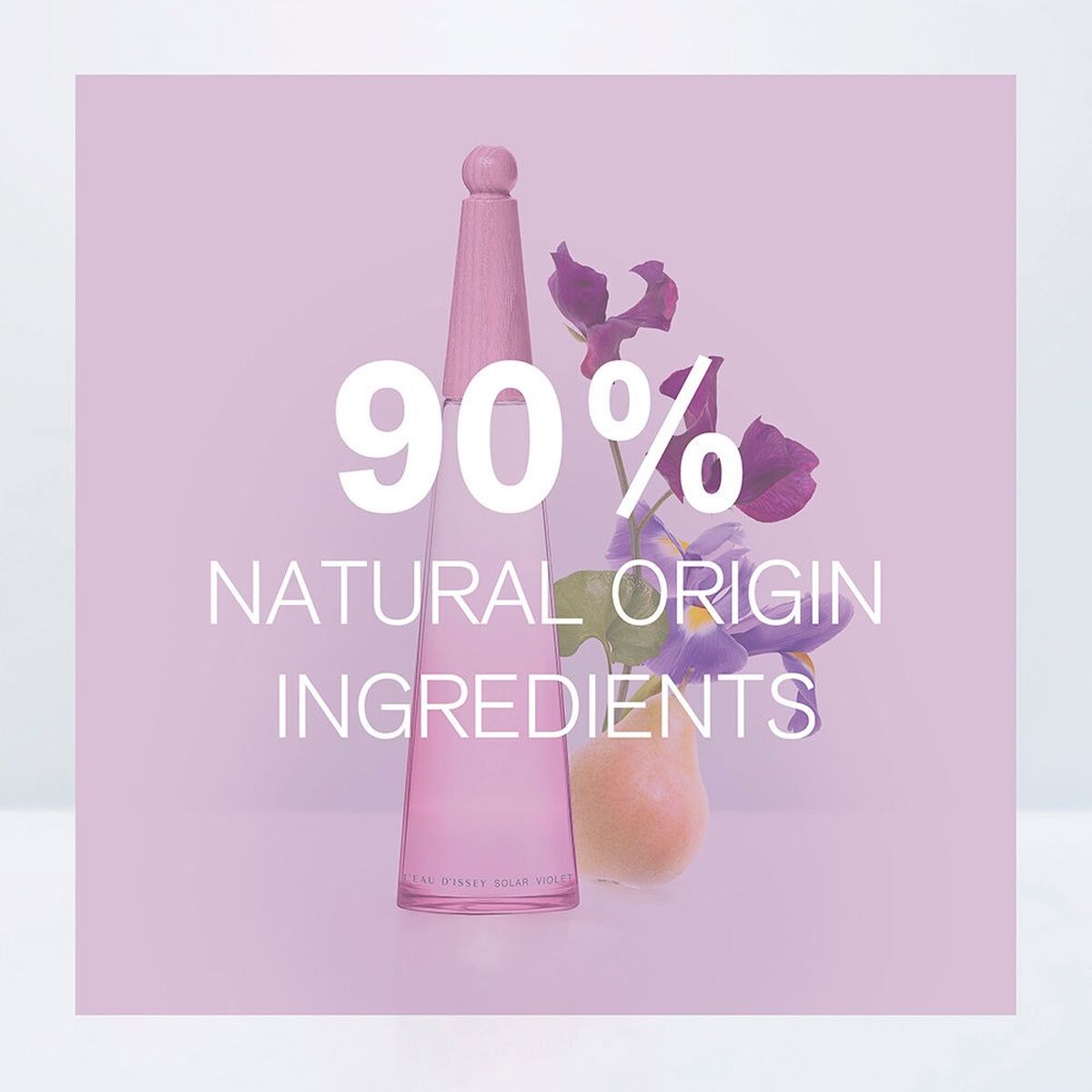 S05121145_0 S05121145_0