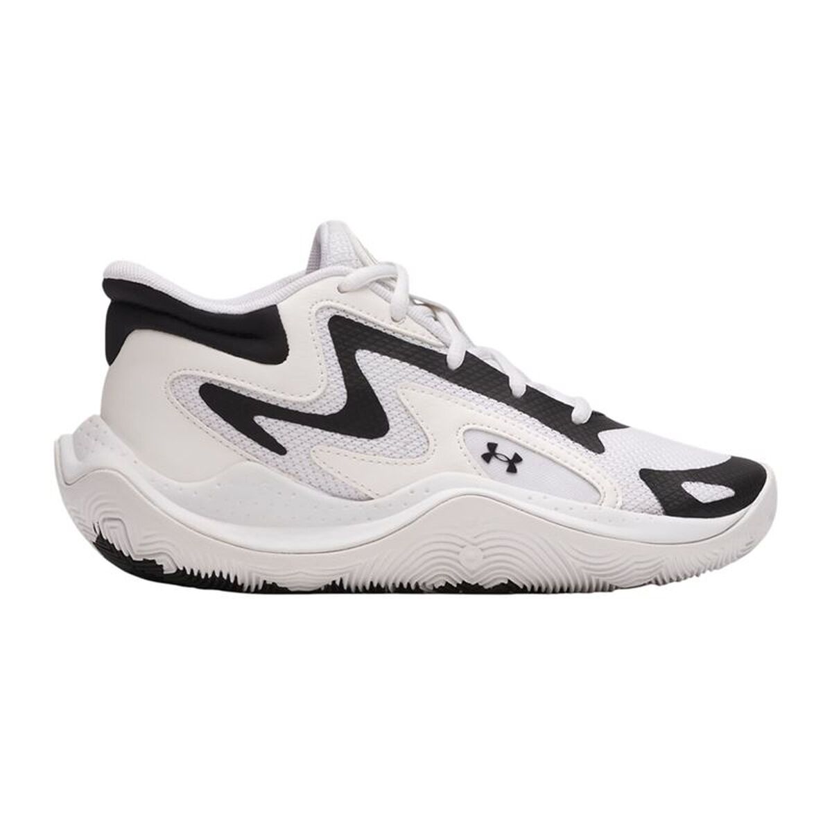 S64216044_0 S64216044_0